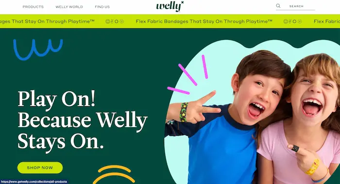 Welly website preview